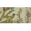 Nicolle Cocktail Ottoman -185387697