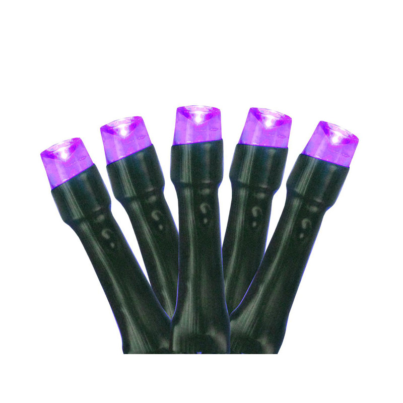 20 Battery Operated LED Wide Angle Christmas Lights, Purple/Green