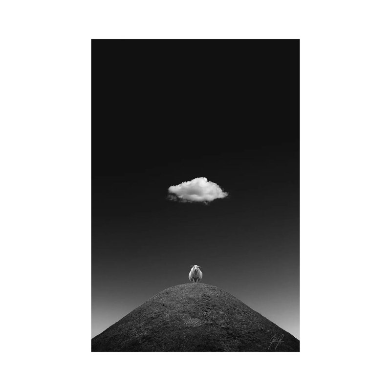 The Illuminated Sheep by Kathrin Federer - Print on Canvas, Wrapped Canvas, 30.48 cm H x 45.72 cm W