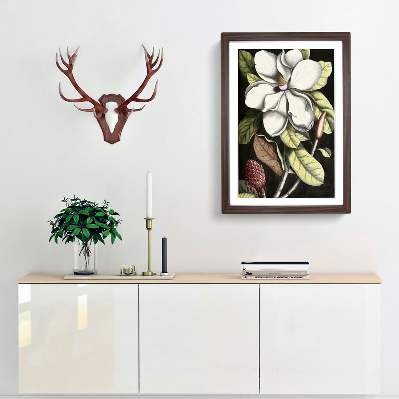 A Laurel Magnolia Tree by Mark Catesby - Picture Frame Painting Print, 65cm H x 48cm W x 2cm D, Walnut Framed