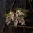 Glitter Arrangement-686804570