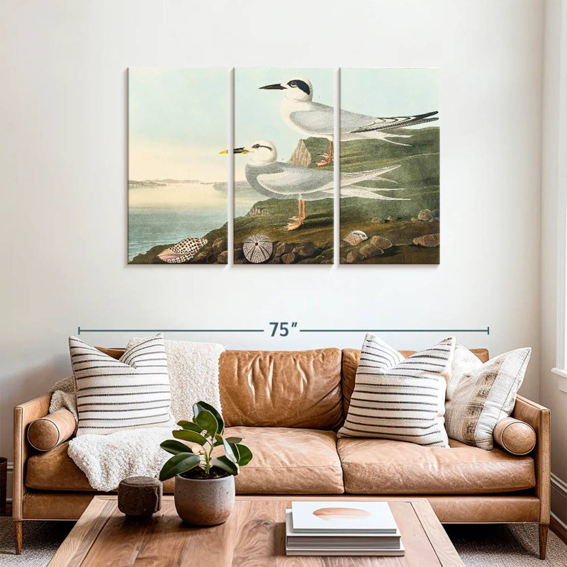 Brampt Havell's Tern And Trudeau's Tern, 36" H x 57" W