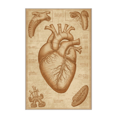 Tapis traditionnel lavable à la machine en lin à aspect croquis d'anatomie parlin