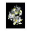 «White Iris» par Dosta, impression sur toile tendue-29223791