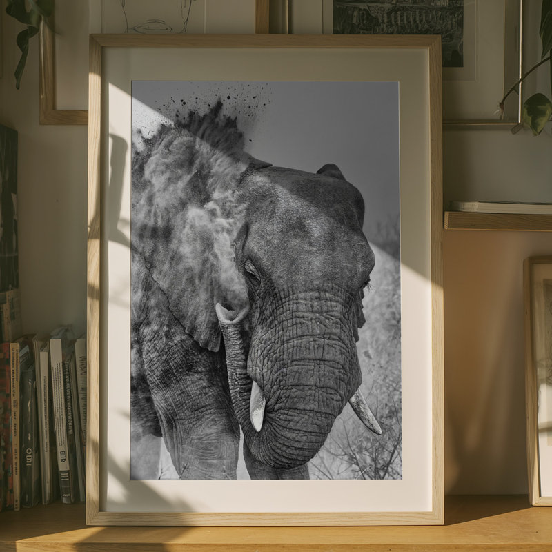 Wrapped Canvas Print, 76.2 cm H x 50.8 cm W