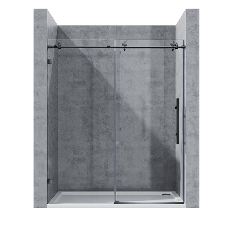 Porte de douche coulissante l 48 po x H 76 po