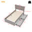 Caroyln Upholstered Storage Bed-1603030752