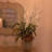 32'' LED Lighted Trees & Branches-65584312