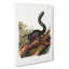Dusky Squirrel by J.W. Audubon - Wrapped Canvas-55316505