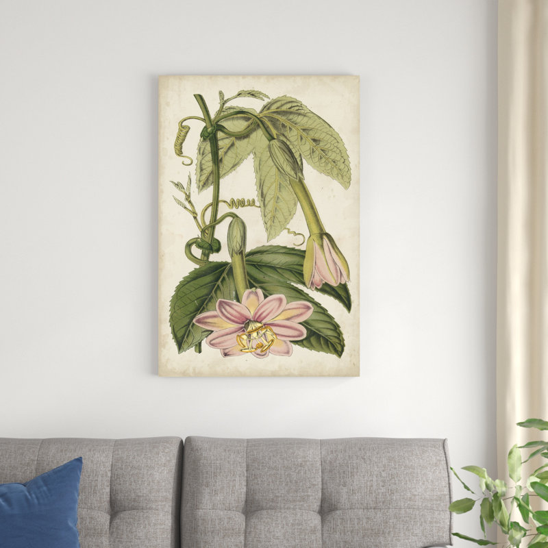 " Passion Flower Botanical " by Stroobant, 36" H x 24" W x 1.25" D