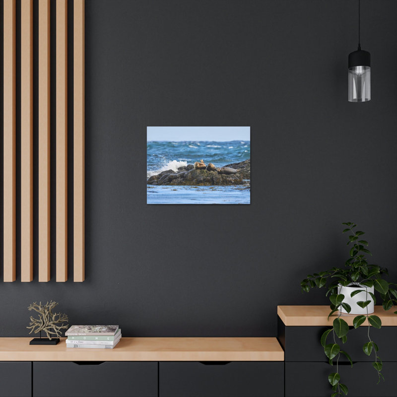 «Seal Group Chilling on the Coastline», art mural, H 18 po x l 24 po