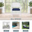 Chaise de patio avec coussins Arliss-671402772-671402792