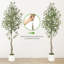 Arrangement