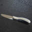 Stainless Steel Dinner Knife