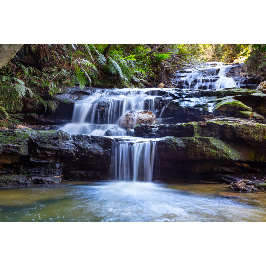 Leura Falls von Jeremy Edwards - Kunstdrucke auf Leinwand ohne Rahmen