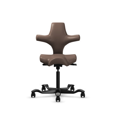 HÅG Capisco Adjustable Standard Height Chair 