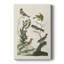 Oiseaux antiques dans la nature I - galerie Cavas sur mesure-342695530