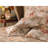 Mirabel 100% Cotton Floral Pillowcase