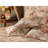 Mirabel 100% Cotton Floral