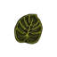Monstera Leaf Cocktail Napkins