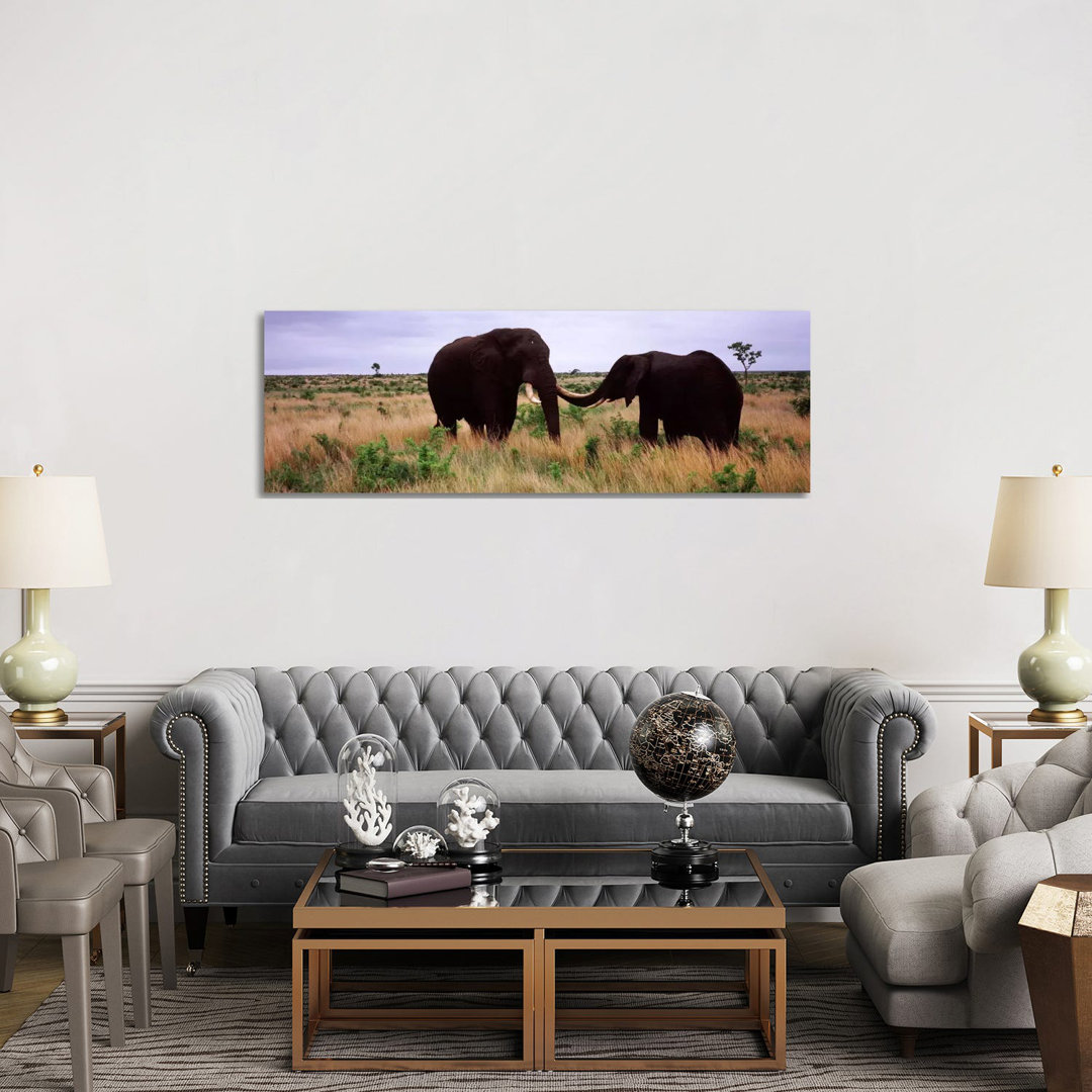 Two African Elephants (Loxodonta Africana) Socialize On The Savannah Plains - Wrapped Canvas Panoramic Print