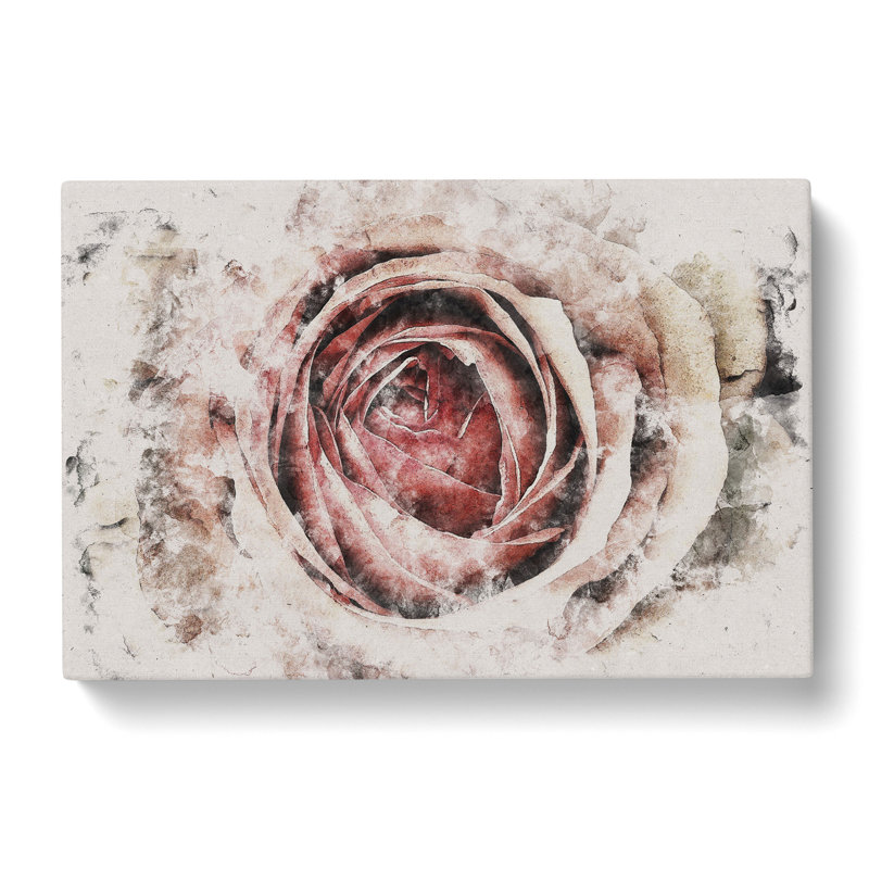 Pink Rose Flower Vol.3 - Wrapped Canvas, 60cm H x 91cm W x 3cm D
