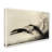 Mid-Century-1266517232