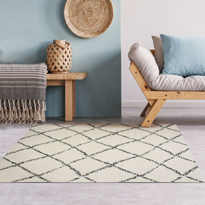 Kathline Geometric Hand Woven Area Rug