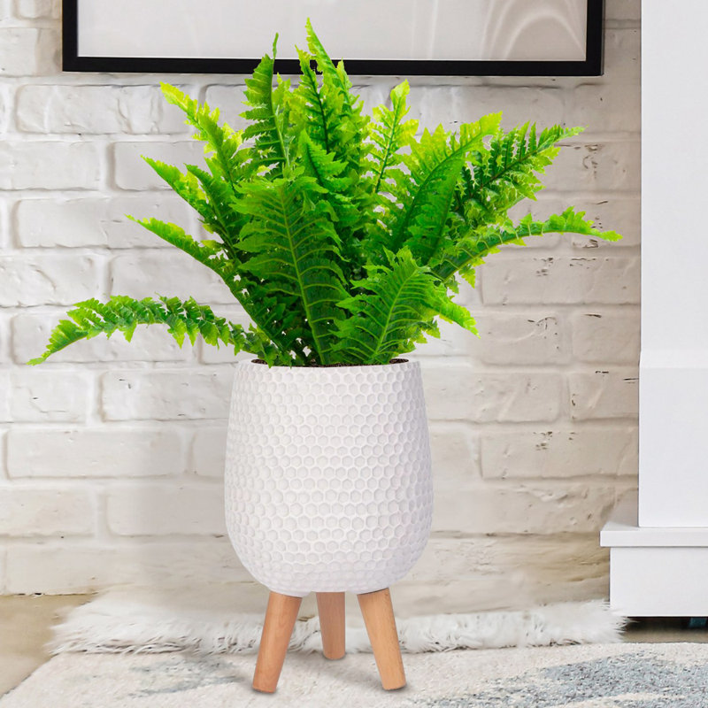 Honeycomb Style Egg Planter with Feet, White, 34cm H x 22cm W x 22cm D