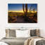 Coucher de soleil sur le parc national Harnek Saguaro-107844957