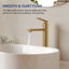 Robinet de lavabo de salle de bain à un trou, robinet de lavabo de salle de bain à poignée simple avec ensemble de drain-113300779