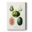 Variétés de fruits et légumes - Cavas enveloppés de galerie-617382076