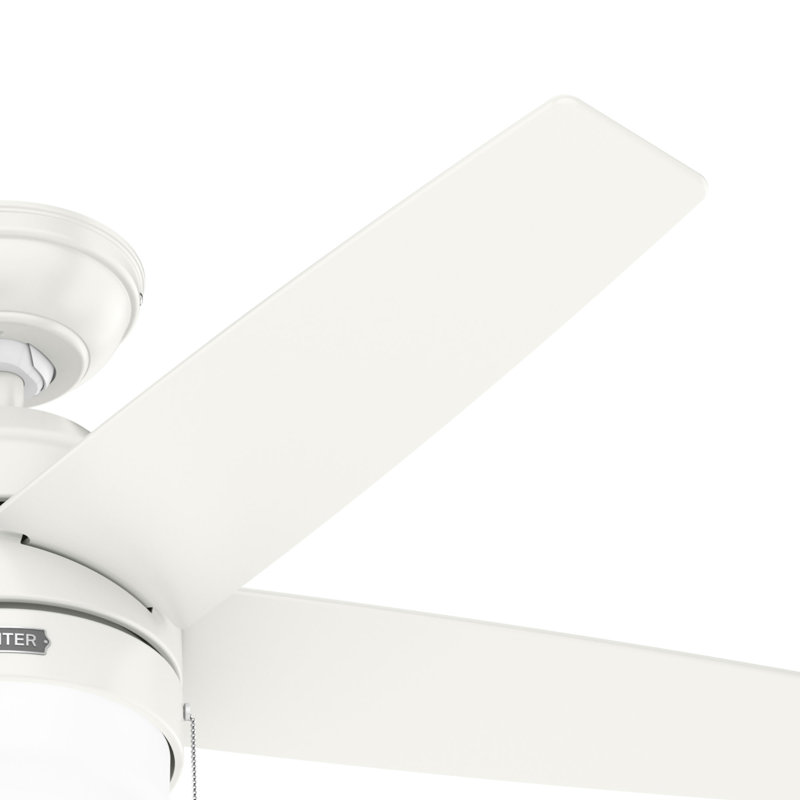 44" Bardot 5 - Blade Ceiling Fan With Lights and Pull Chains, White
