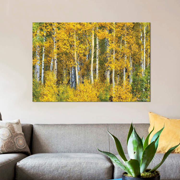 Jaune, reproduction d’art sur toile, H 8 po x l 12 po x P 0,75 po, Toile tendue, Pas de tapis