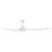 Hinkley Talon LED Ceiling Fan-101221389-101221390