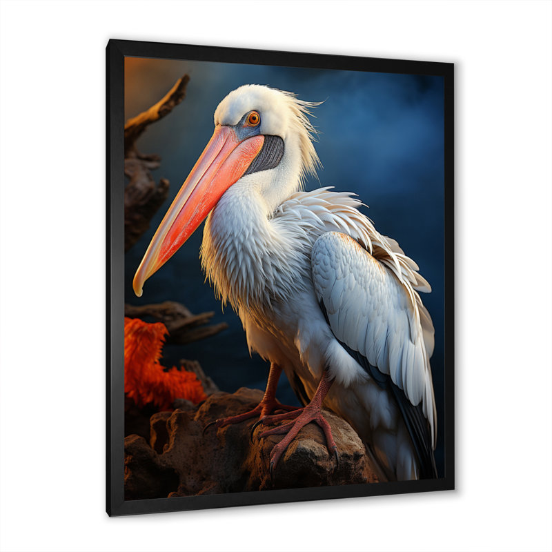 Corail blanc, animal, pélican - Reproduction d'art mural animaux, H 20 po x l 12 po x P 1 po, Cadre d'angle fermé noir