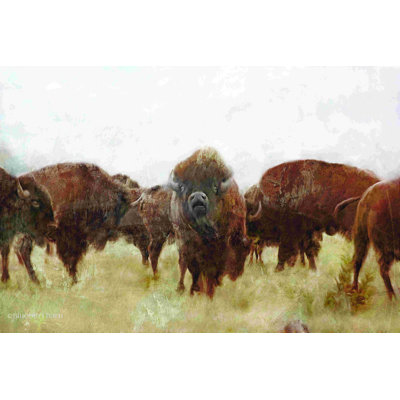 Buffle - peinture