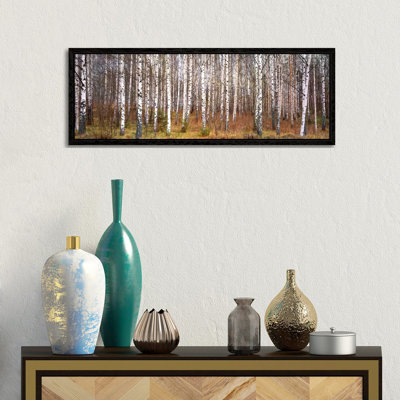 Silver birch trees in a forestNarke, Sweden 1 Piece Floater Frame Panoramic Wall Art on Canvas