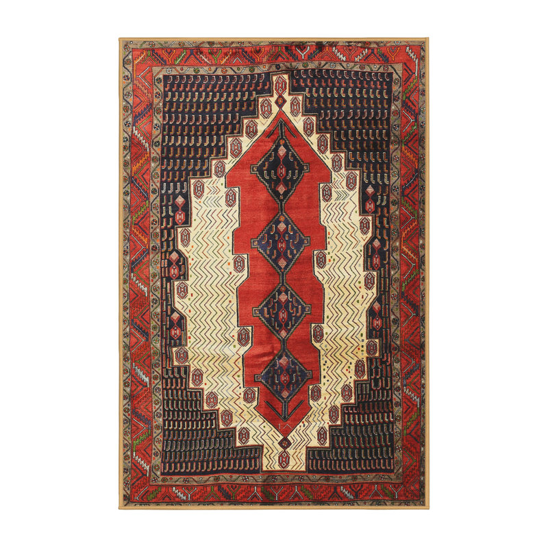 Shashkov Oriental Indoor Rug, Rectangle 5' x 7'