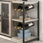Buffet 55,12 po-702502894