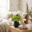 Arrangement organique moderne dans un pot
