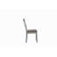 Ensemble de 2 chaises d'appoint House Gray