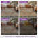 Oriental Neutral Brown / Blue Machine Washable Non-Slip Indoor Area Rug