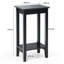 Aariyonna End Table-1547013625