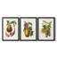Fruit of the Tropics I - reproduction sur mesure encadrée de qualité supérieure - 3 pièces-468485404-468485400