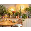 Eleta Round Solid Wood Top Metal Base Dining Table