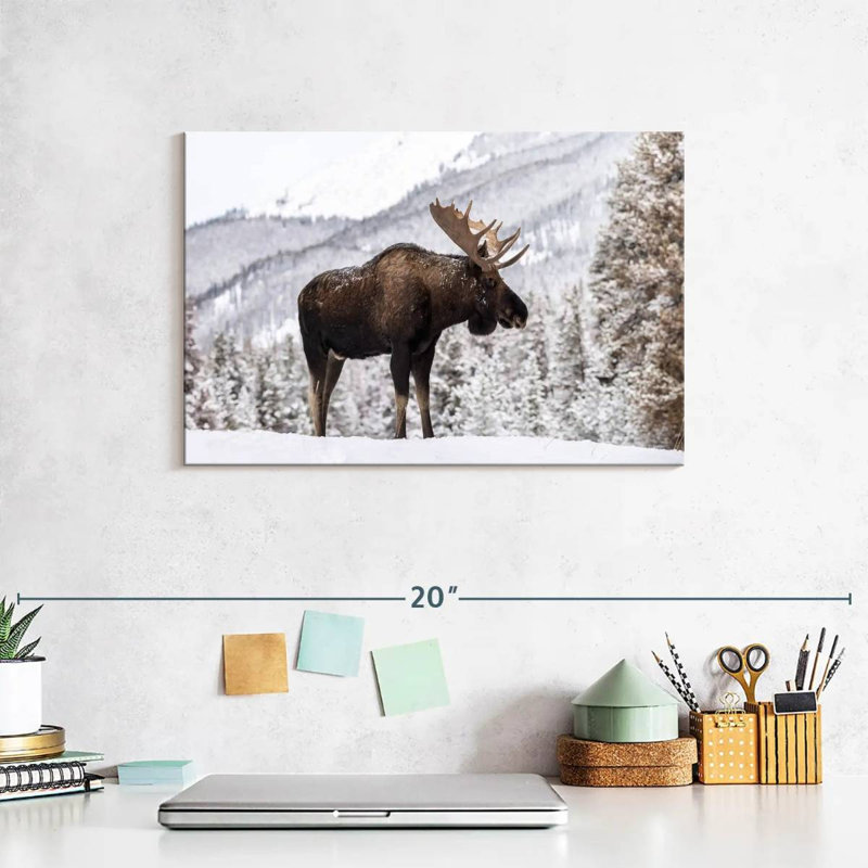 Snowy Moose, 8" H x 12" W