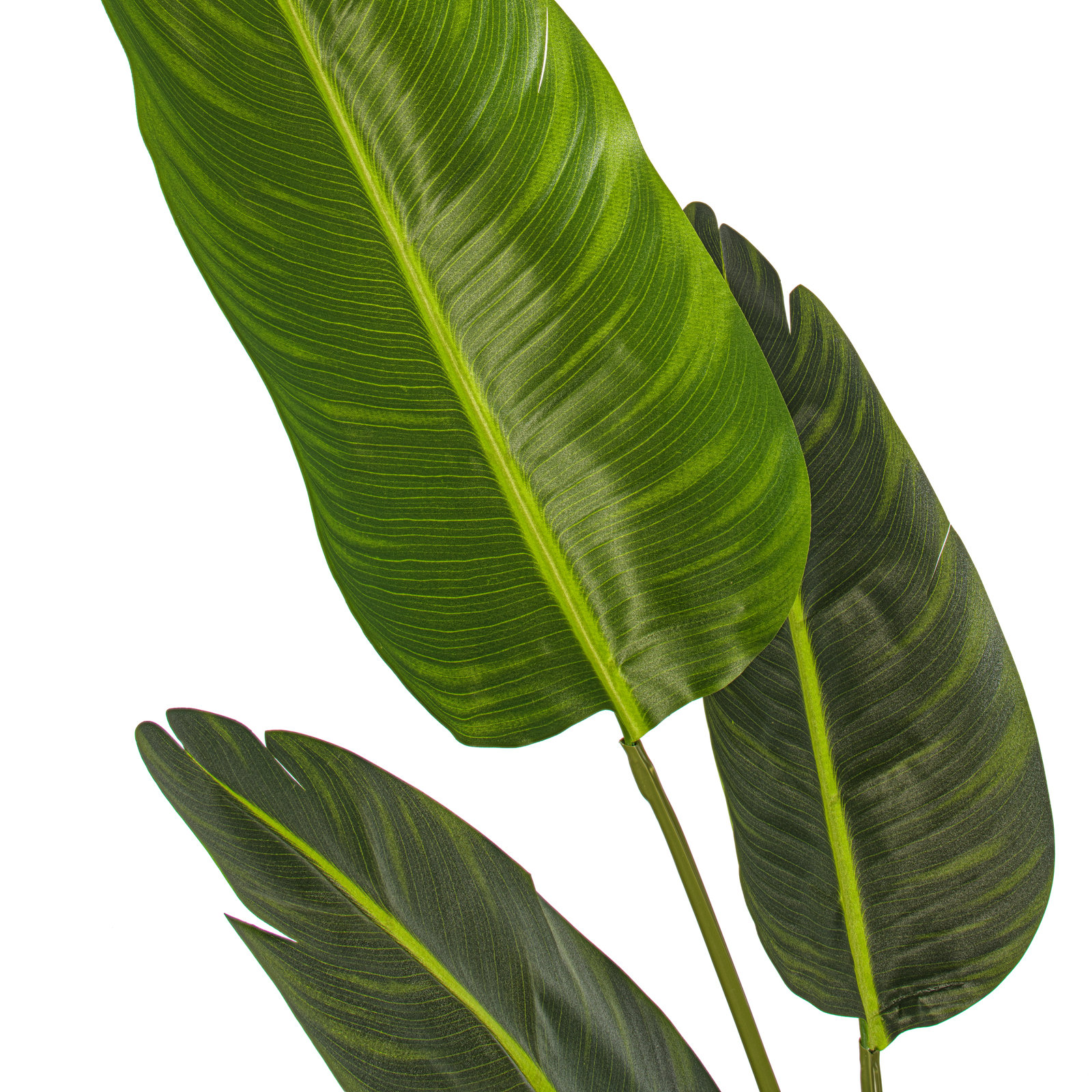 Jorah Palm Tree with Base Included, 48'' H x 17" W x 22" D