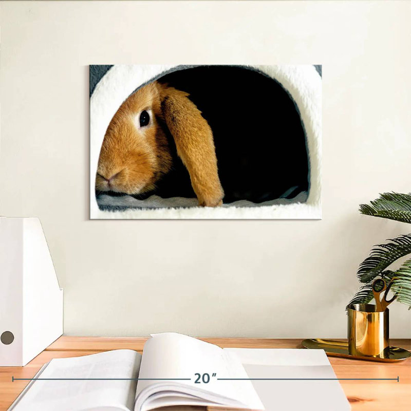 Brampt Rabbit Home, 8" H x 12" W