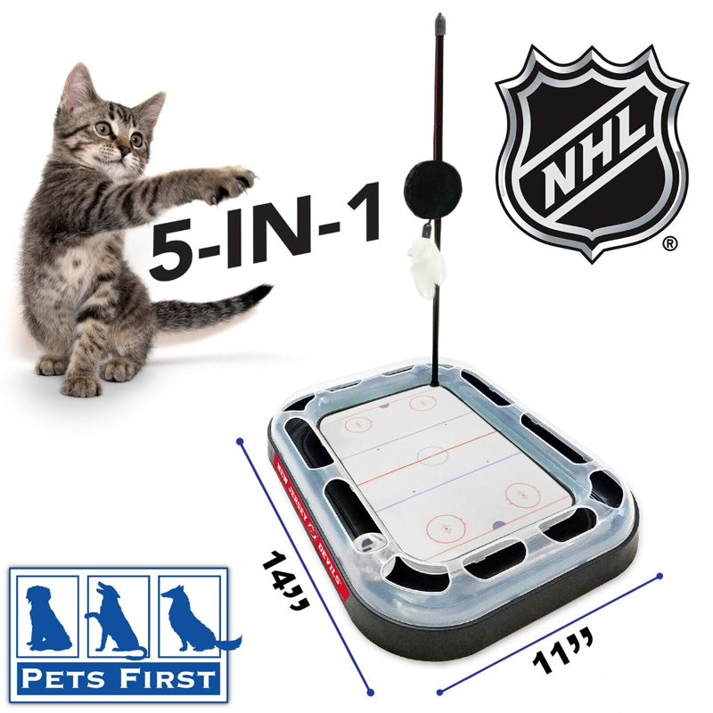Tucker Murphy Pet™ NHL Hockey Field Cat Scratcher Toy with Catnip & Plush Feather Wand